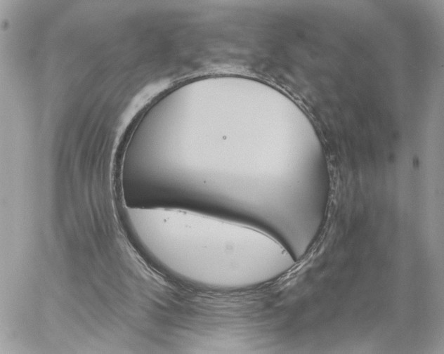 X0000059100104200510172130