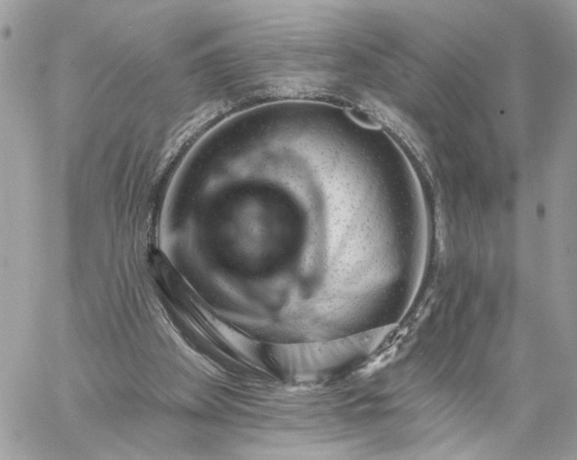 X0000059100105200510172130