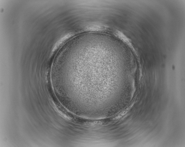 X0000059100106200510172130