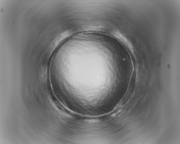 X0000059100107200510172130