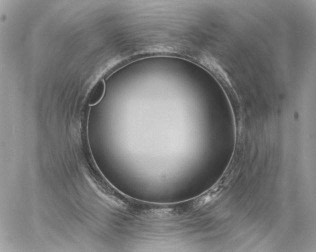 X0000059100108200510172130