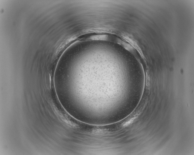 X0000059100109200510172130