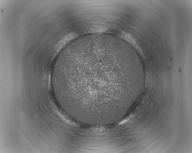 X0000059100110200510172130