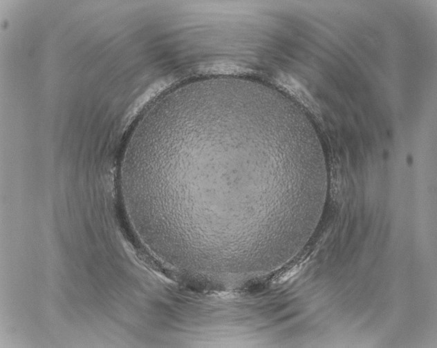 X0000059100111200510172130