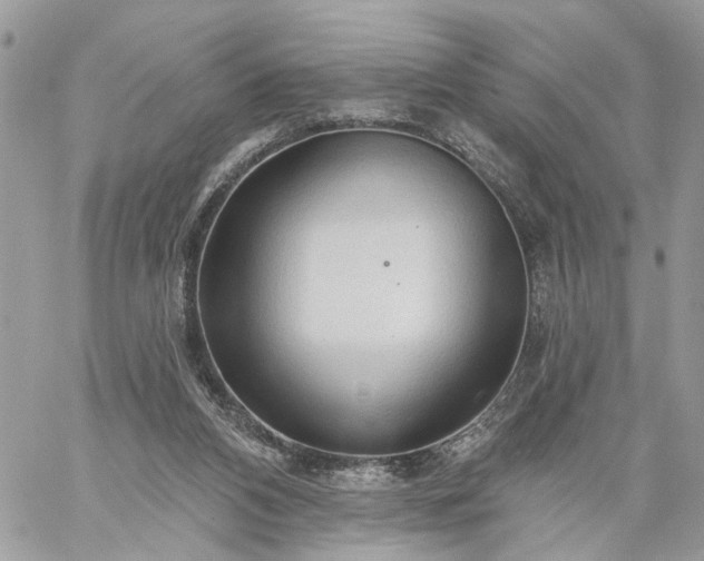 X0000059100112200510172130