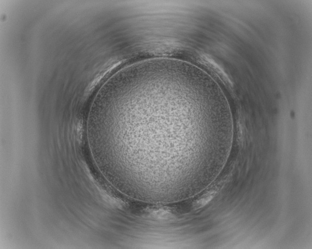 X0000059100113200510172130