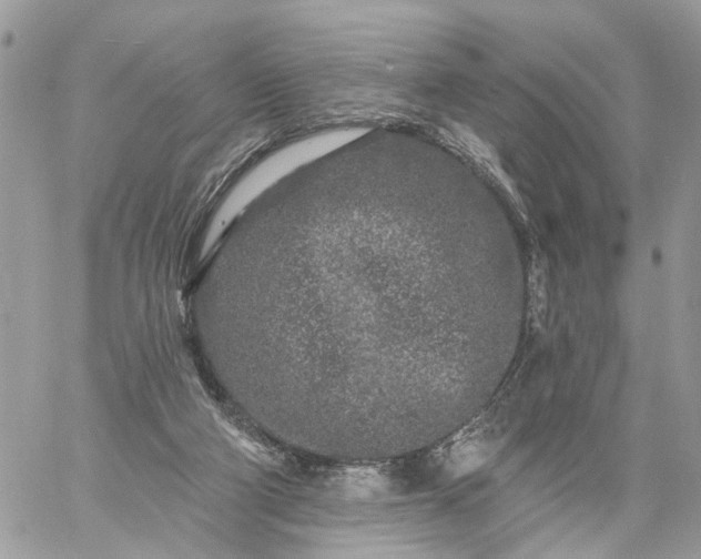 X0000059100114200510172130