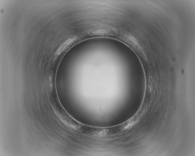 X0000059100116200510172130