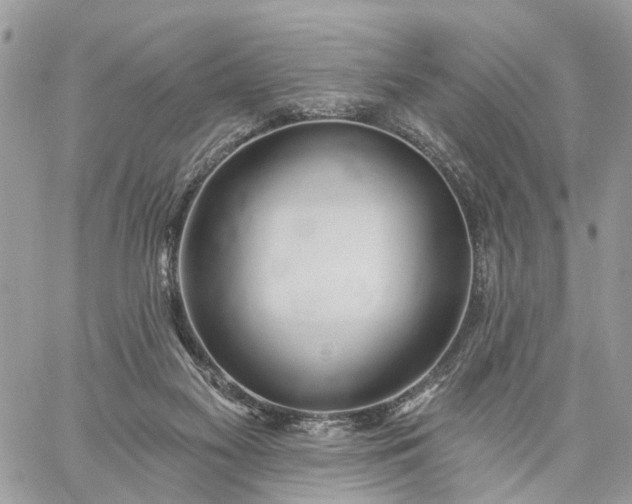 X0000059100117200510172130