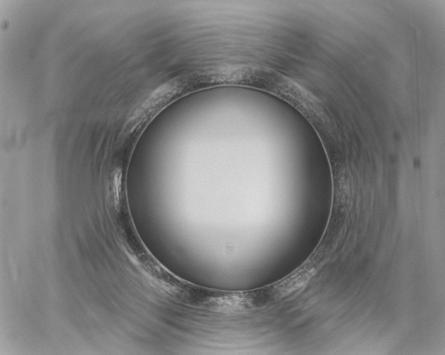 X0000059100118200510172130