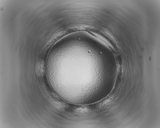 X0000059100119200510172130