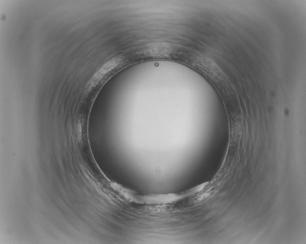 X0000059100120200510172130