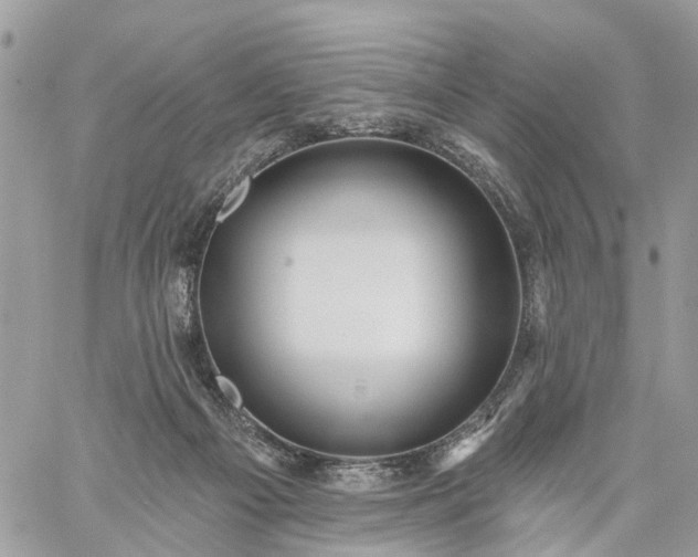 X0000059100121200510172130