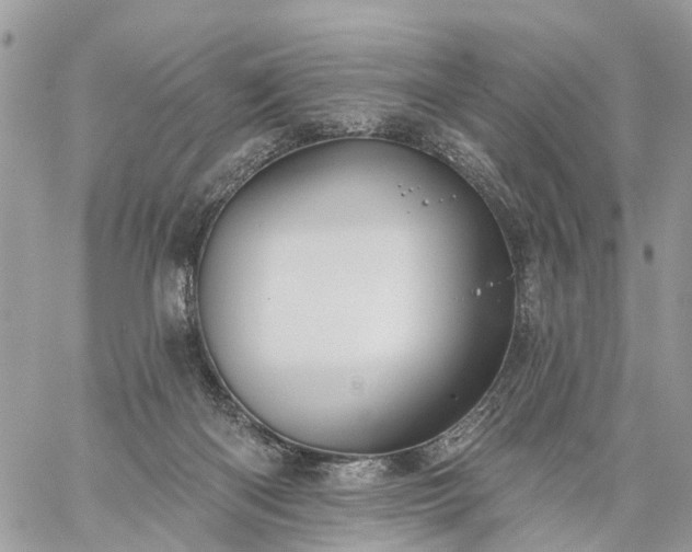 X0000059100122200510172130