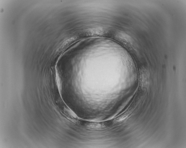 X0000059100123200510172130