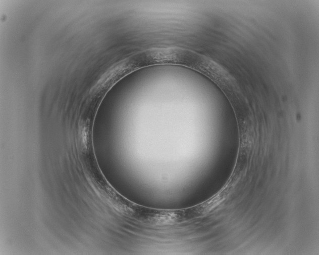 X0000059100124200510172130