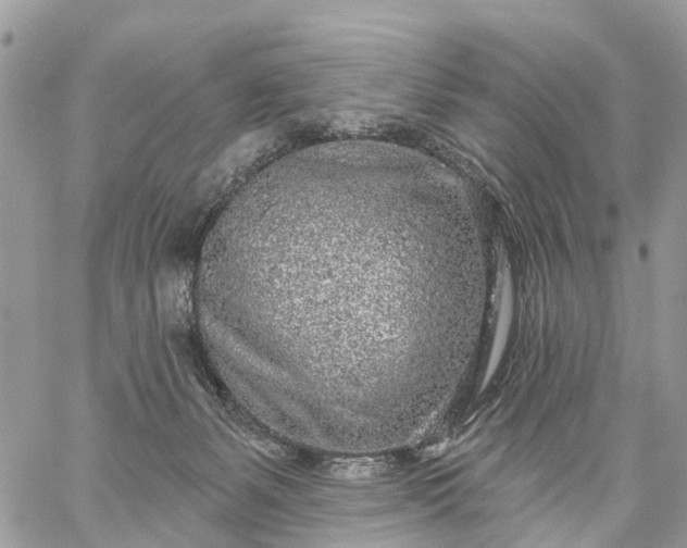 X0000059100127200510172129