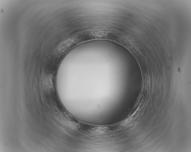 X0000059100128200510172129