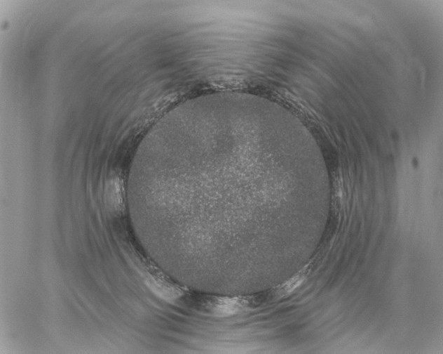 X0000059100130200510172129