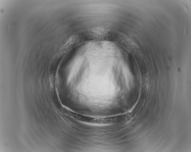 X0000059100131200510172129