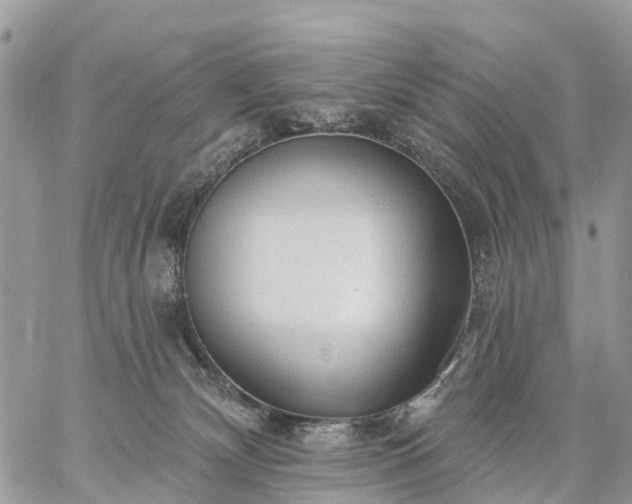 X0000059100132200510172129