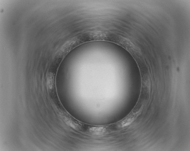 X0000059100133200510172129