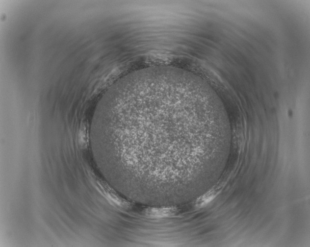 X0000059100134200510172129