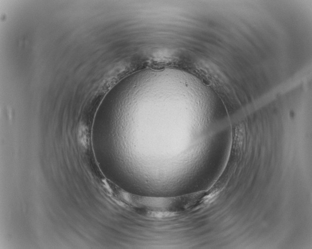 X0000059100135200510172129