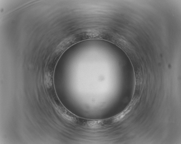 X0000059100136200510172129