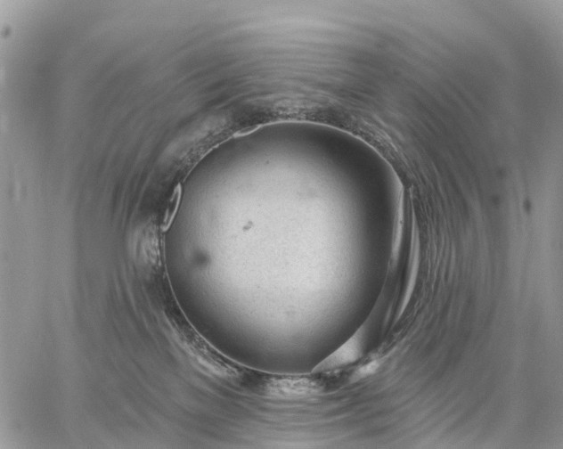 X0000059100137200510172129