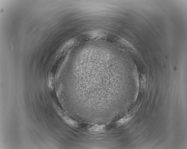 X0000059100138200510172129