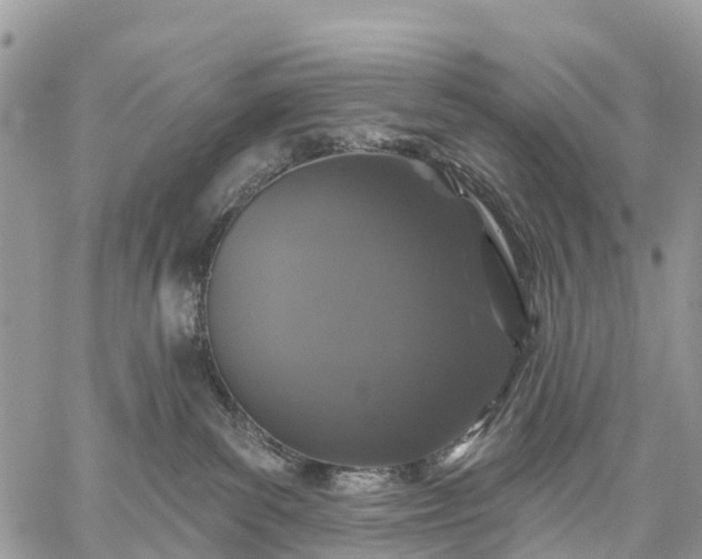 X0000059100139200510172129