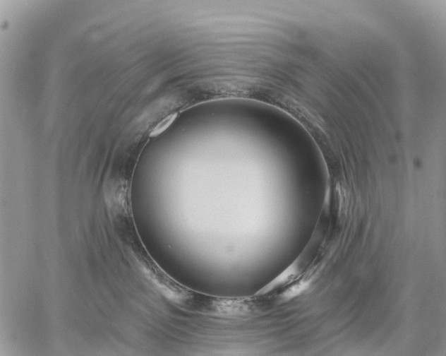 X0000059100141200510172129