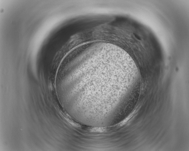 X0000059100142200510172129