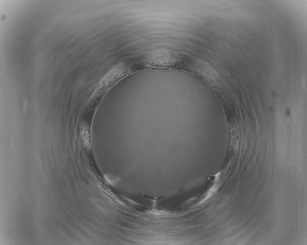 X0000059100143200510172129