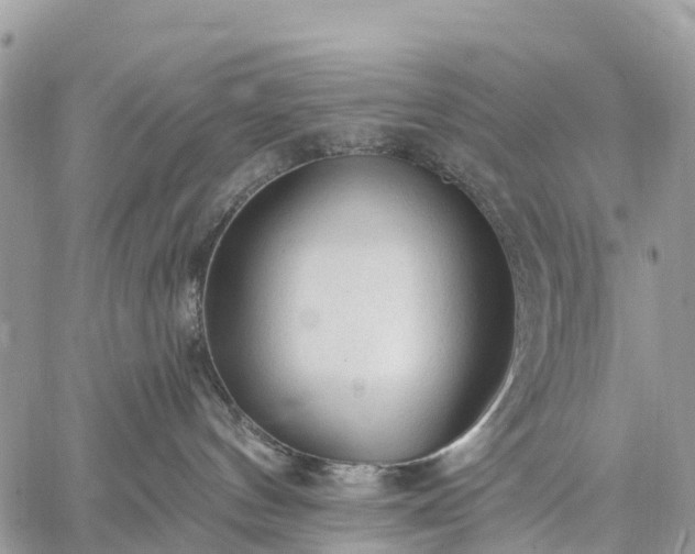 X0000059100144200510172129