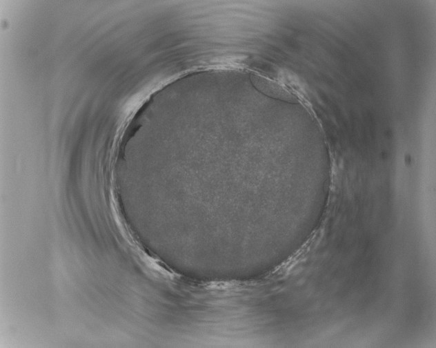 X0000059100145200510172128