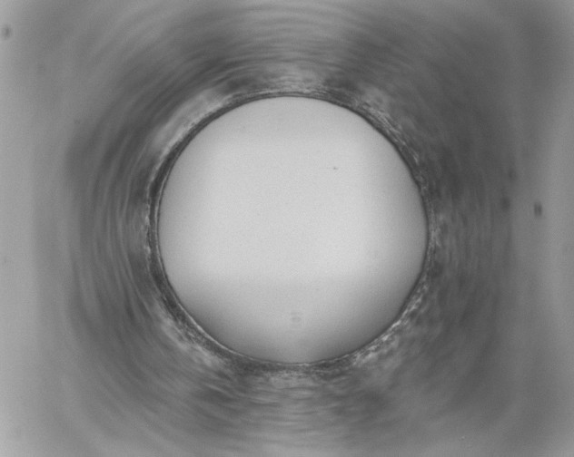 X0000059100146200510172128