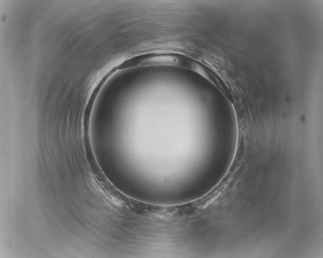 X0000059100148200510172128