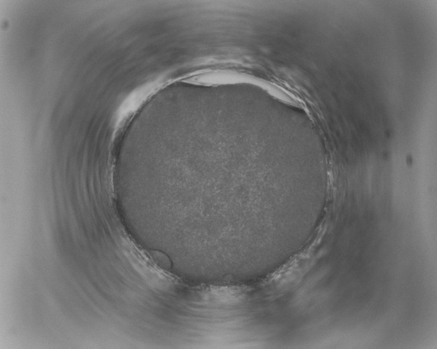 X0000059100149200510172128