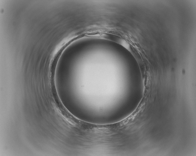 X0000059100150200510172128