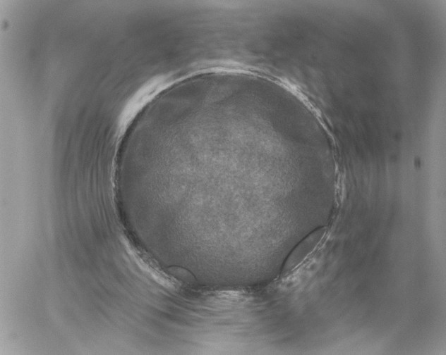 X0000059100151200510172129