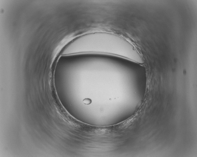 X0000059100152200510172129