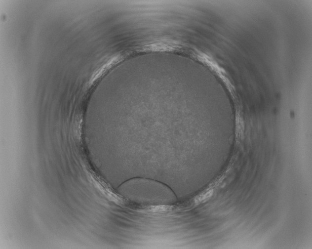 X0000059100153200510172129