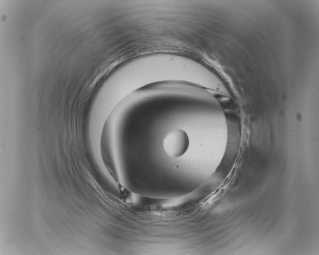 X0000059100154200510172129