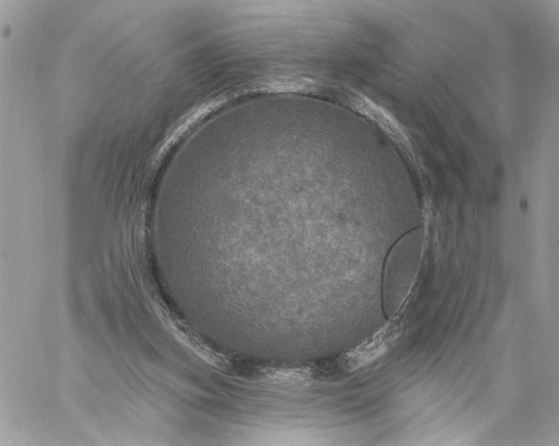 X0000059100155200510172129