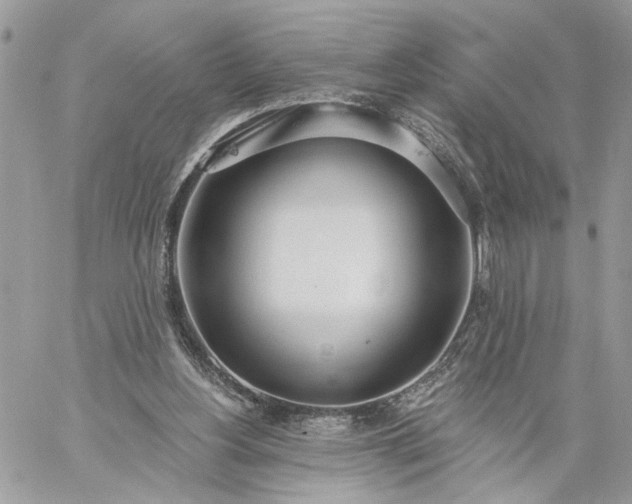 X0000059100156200510172129