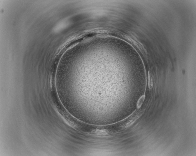 X0000059100157200510172129