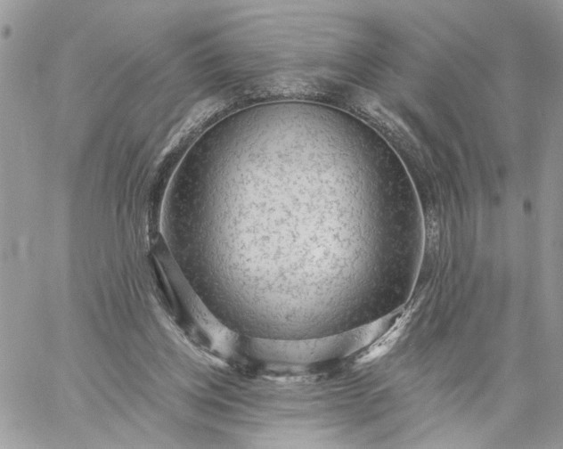 X0000059100158200510172129