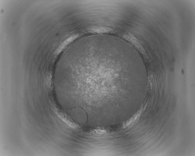 X0000059100159200510172129